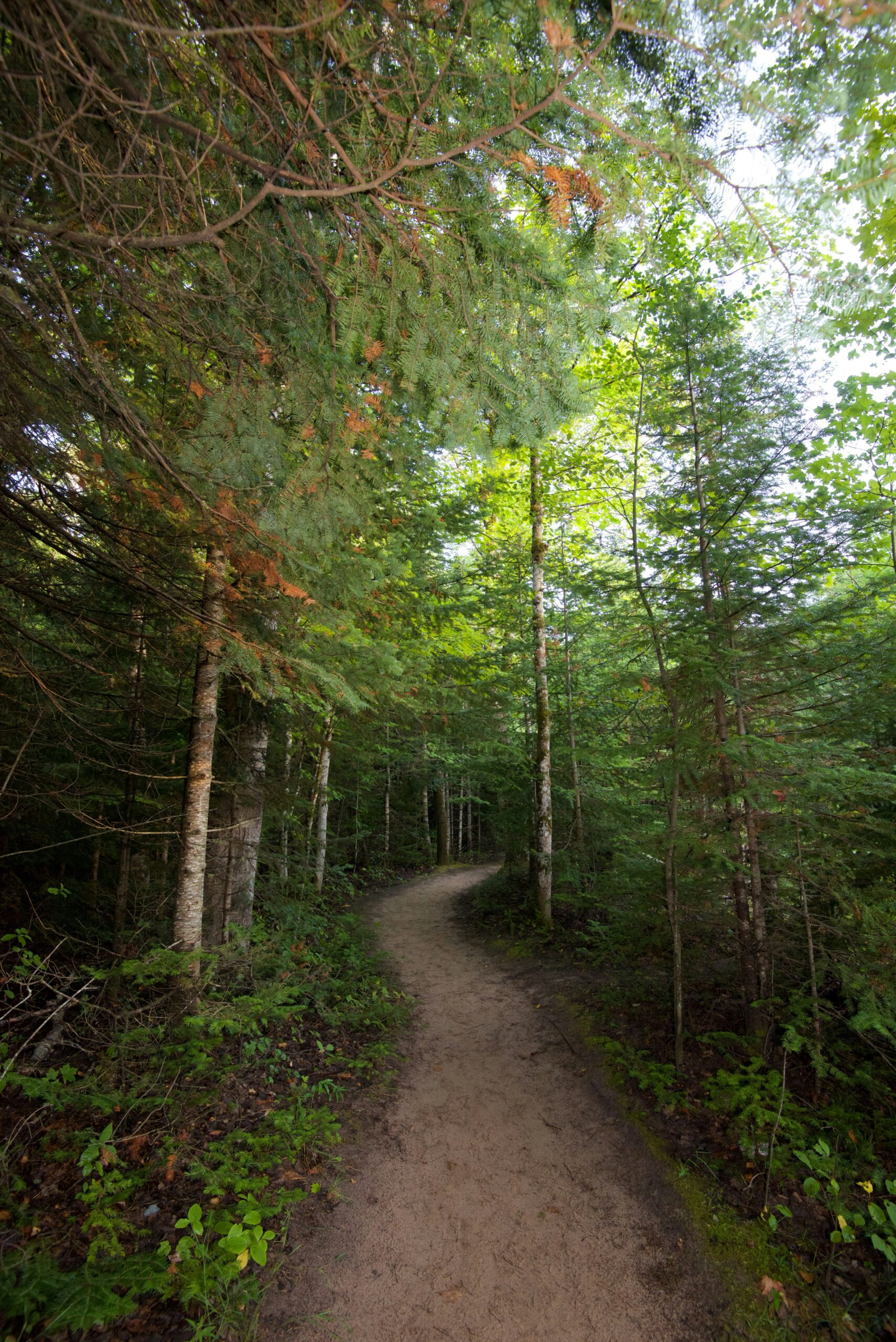 About Us - Little Valley Communites